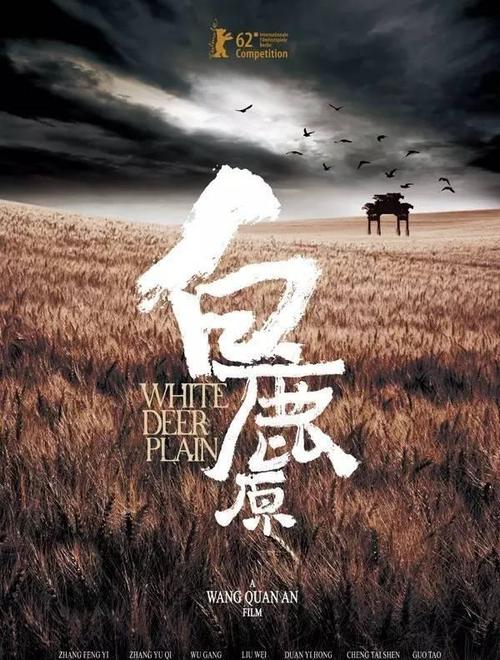 买个假的瑞士签证